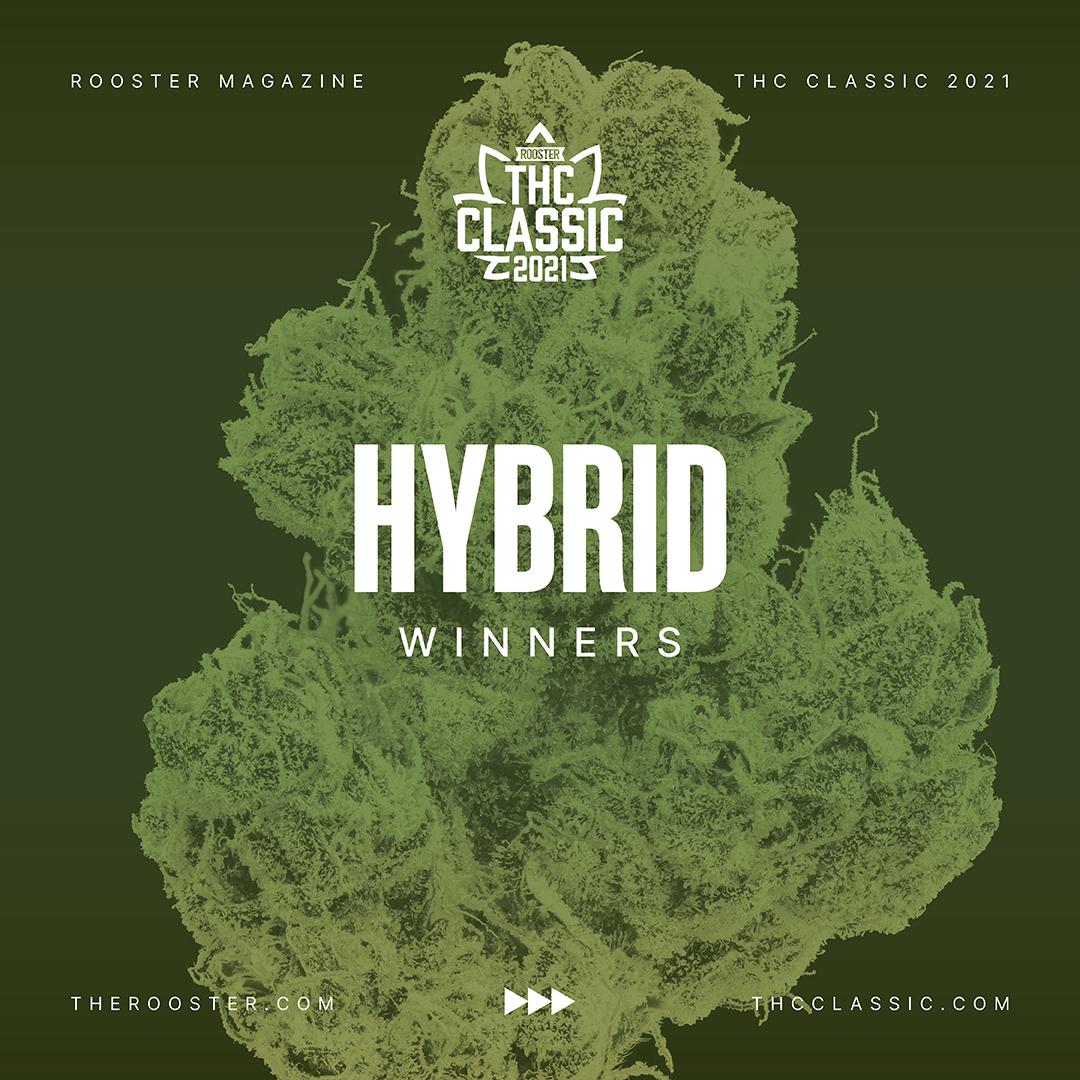 Colorado's Best Cannabis and Hemp Products 2021: Hybrid Flower 